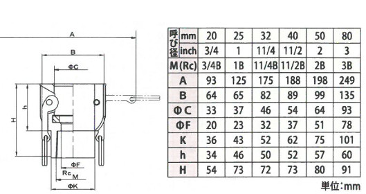 小澤物産 レバーカップリング OZ-D-PP-1・1/2 （40A） メスネジ型