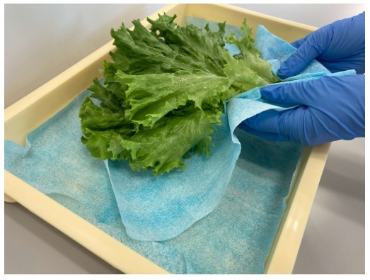 NVA CvI[ X50 NXCN u[ 4܂ 60660(50~24pbN)