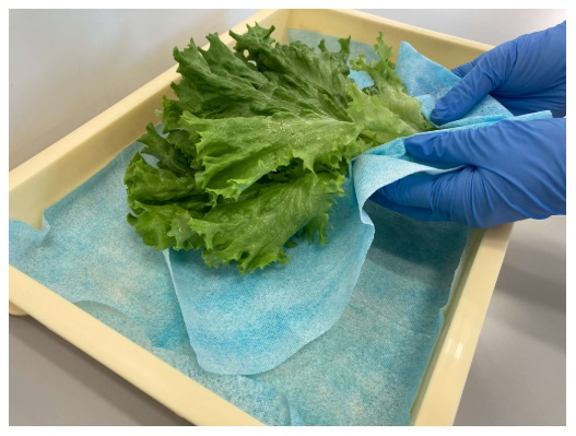 NVA CvI[ X50 NXCN u[ LTCY 6܂ 60665(50~18pbN)