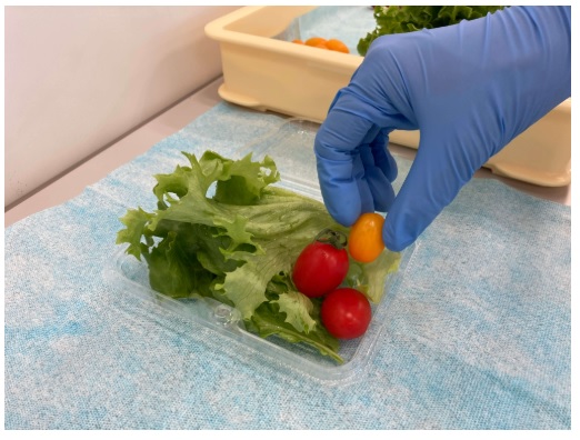 NVA CvI[ X50 NXCN u[ LTCY 6܂ 60665(50~18pbN)