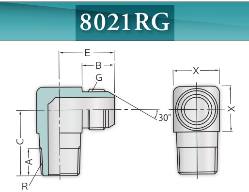 �u���a�X�g�� �A�_�v�^ 8021RG06