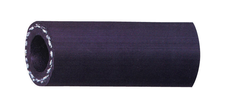 OiS X`[z[X 19~2B ڕi(100m)